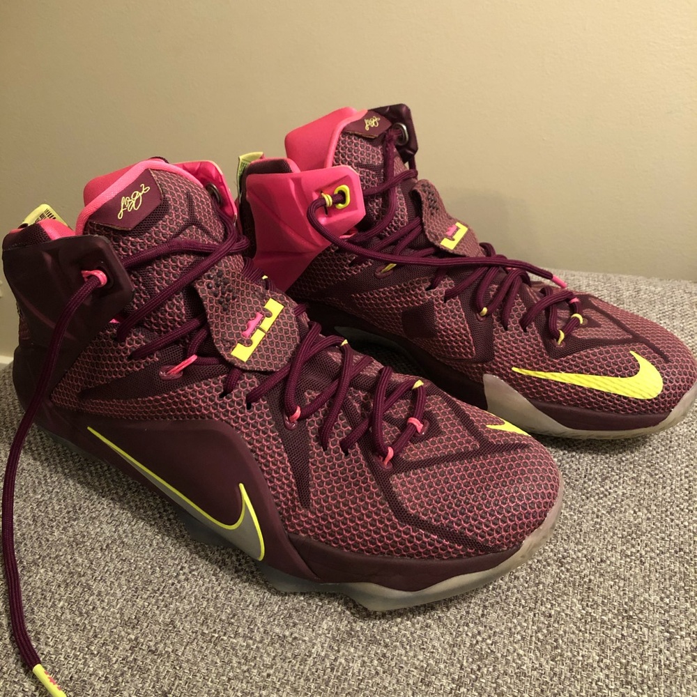 LeBron James Nike basketball shoes